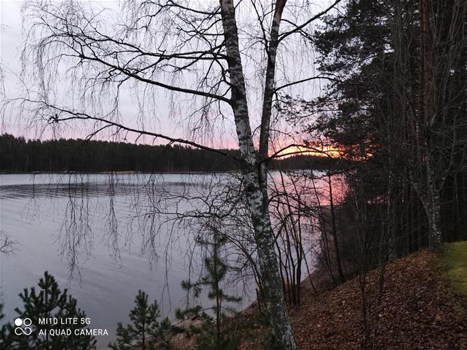 Auringonnnousu Salosaaressa_Sanna Äikää_goSaimaan kuvakisa 2021.jpg